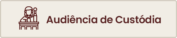 Audiência de custódia