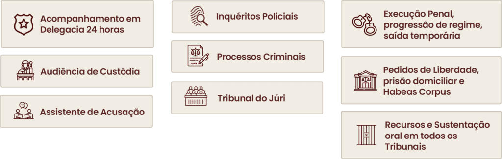 Advogada criminalista - julia xavier